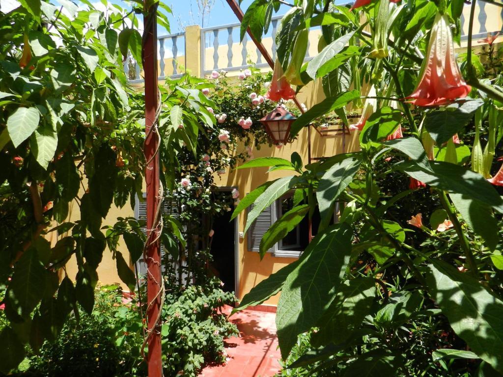 Bed and Breakfast Dar Beldi Oualidia Habitación foto