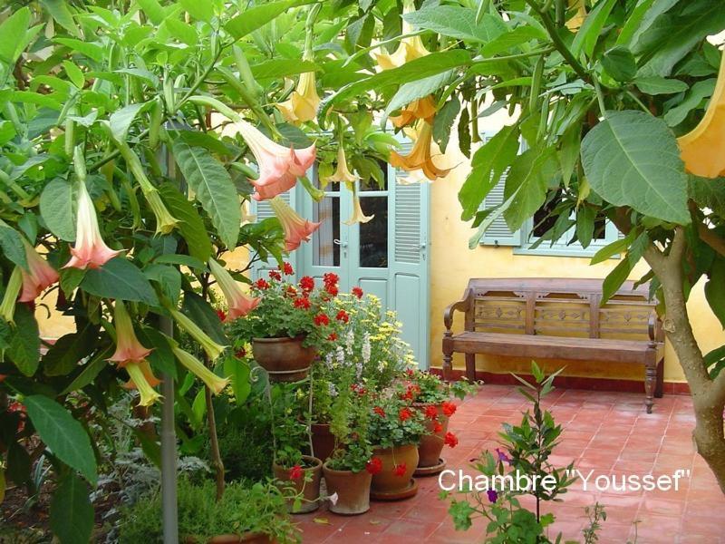 Bed and Breakfast Dar Beldi Oualidia Habitación foto